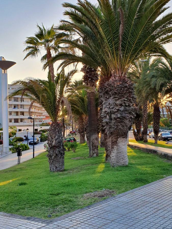 Spectacular Renovated Apartment, 5 Min To Camison Beach, With Aircon Arona  Eksteriør bilde